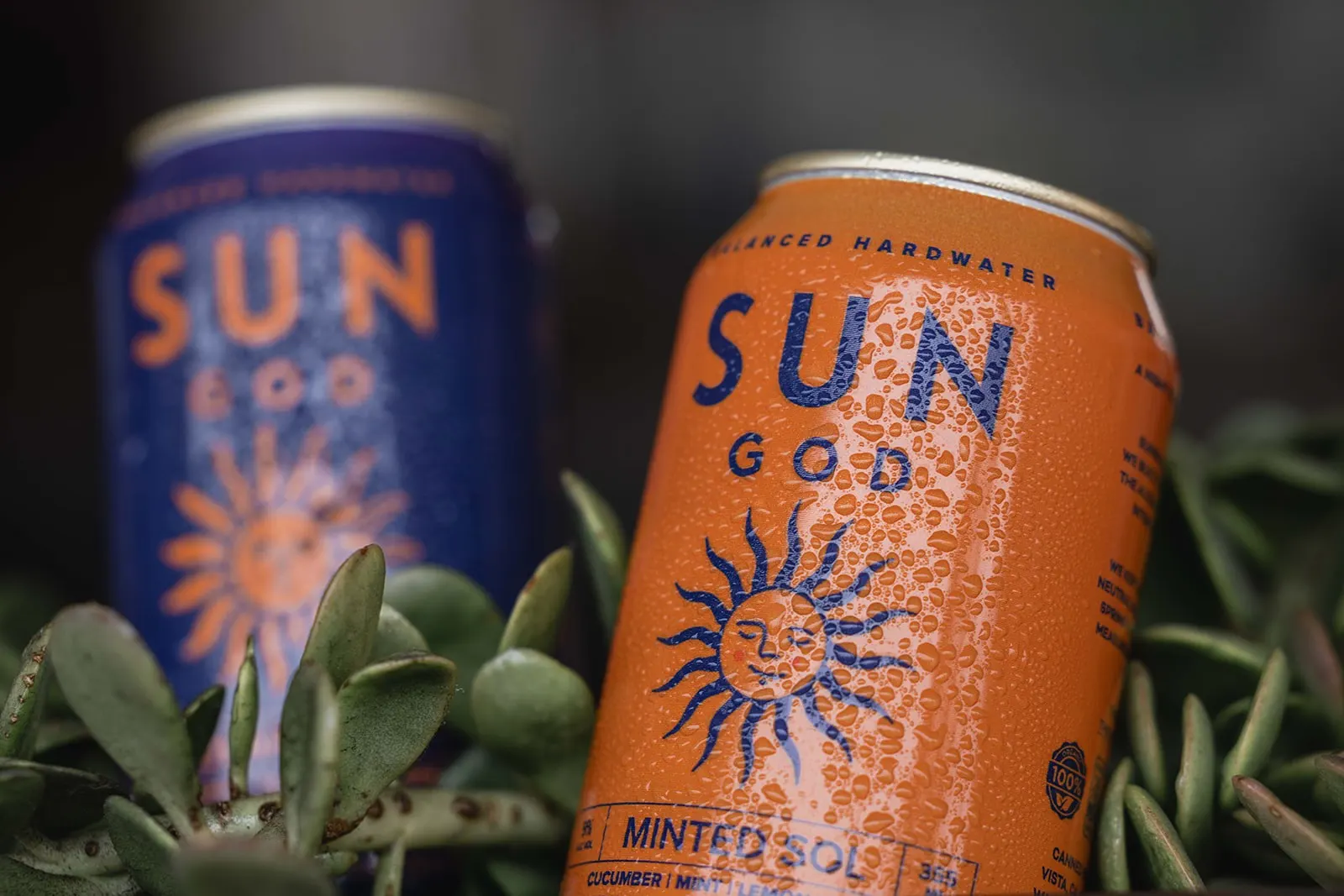 Close-up of Minted Sol and Solar Drift cans among succulents