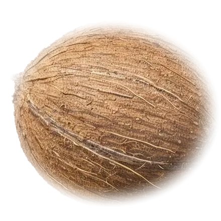 Whole coconut