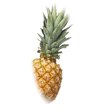 Fresh pineapple